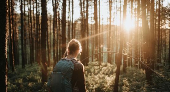 Kvinna promenerar i skog, fotografi.