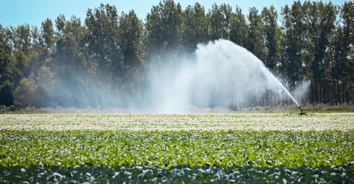 Fossilfria investeringar och kapitalplaceringar