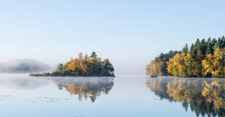 Sjö och skog i morgondimma.