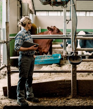 Kvinnlig lantbrukare i en ladugård.