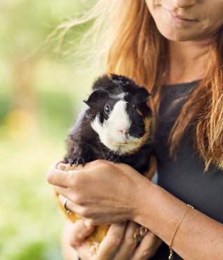 Kvinna håller i ett marsvin.