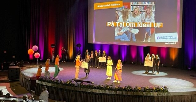 Ungas möjlighet till entreprenörskap