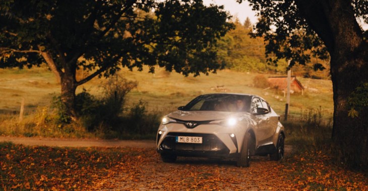 Teckna halvförsäkring och kör lite säkrare ute på vägarna.