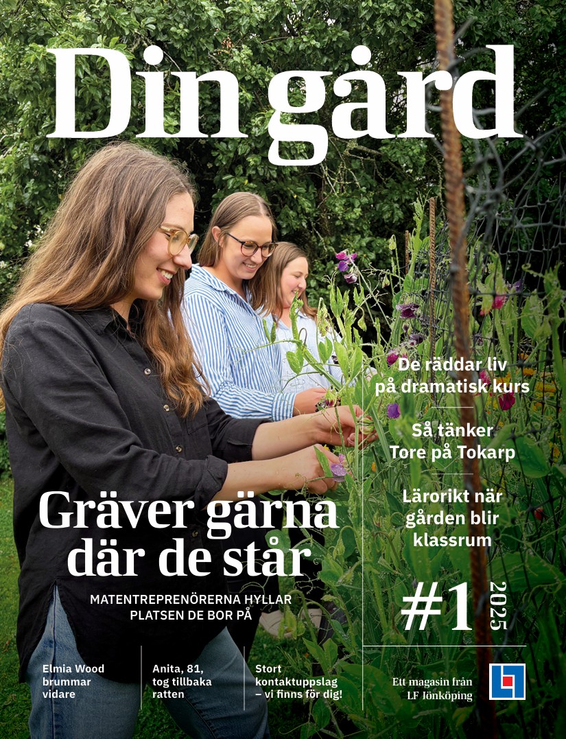 ettan höstan 2025 Din Gård.jpg