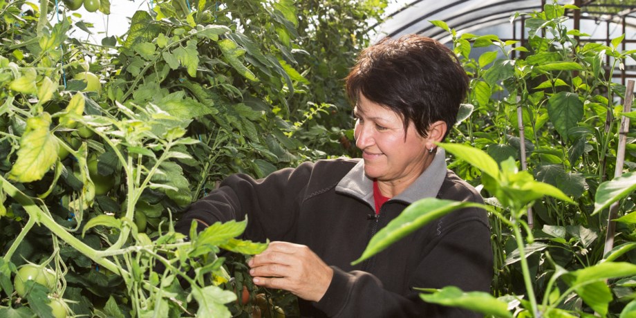 Kvinna bland odlingar, foto.