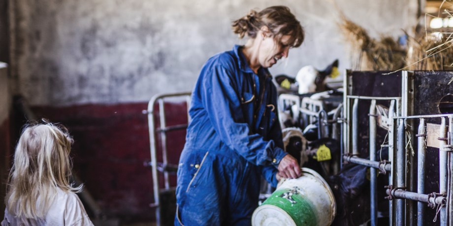 Kvinnlig lantbrukare i ladugård, foto.