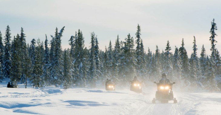 Snöskoteråkare ute och åker i vinterlandskap med skogen i bakgrunden.