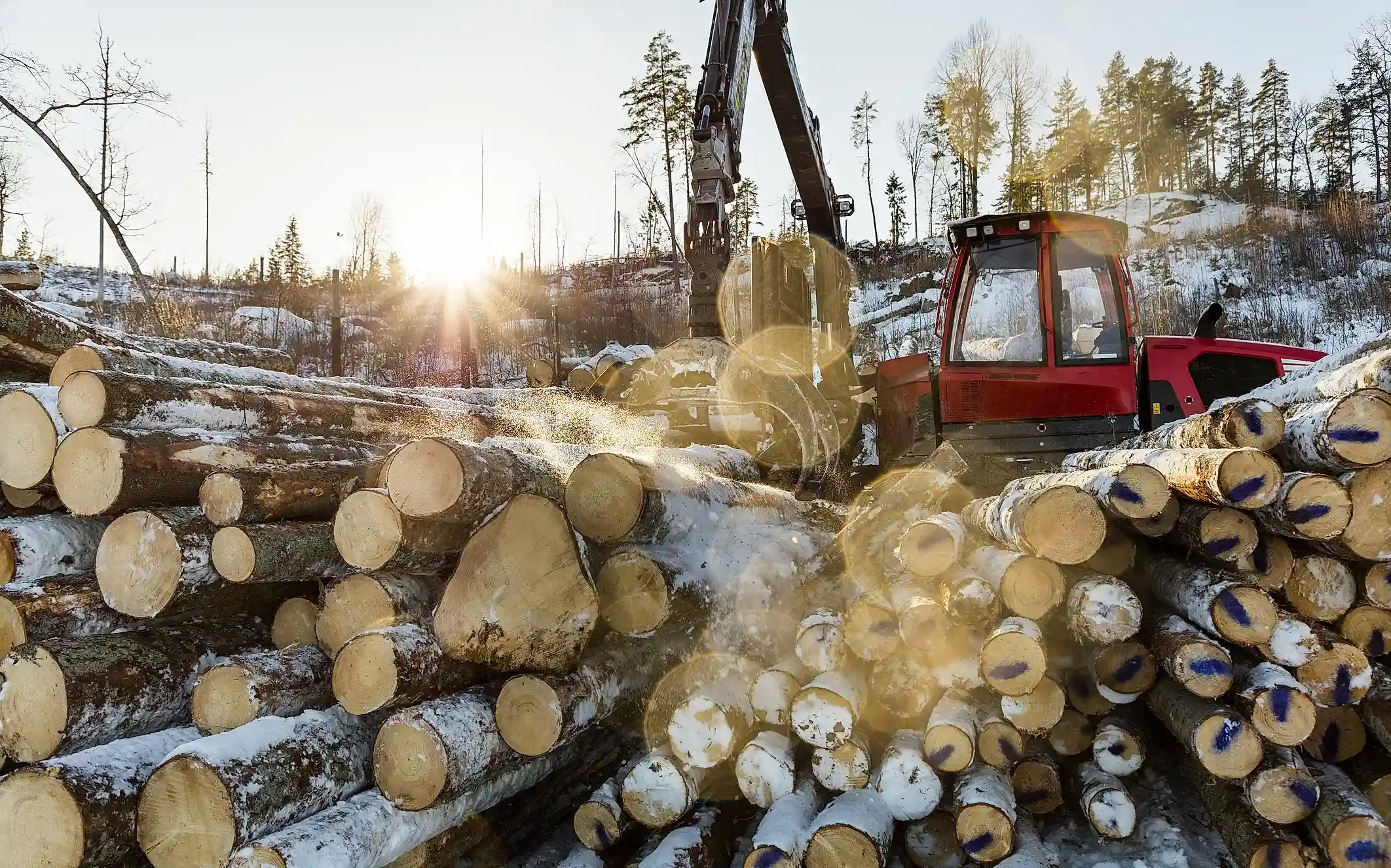 Röd skogsmaskin i soligt vinterlandskap, fotografi.