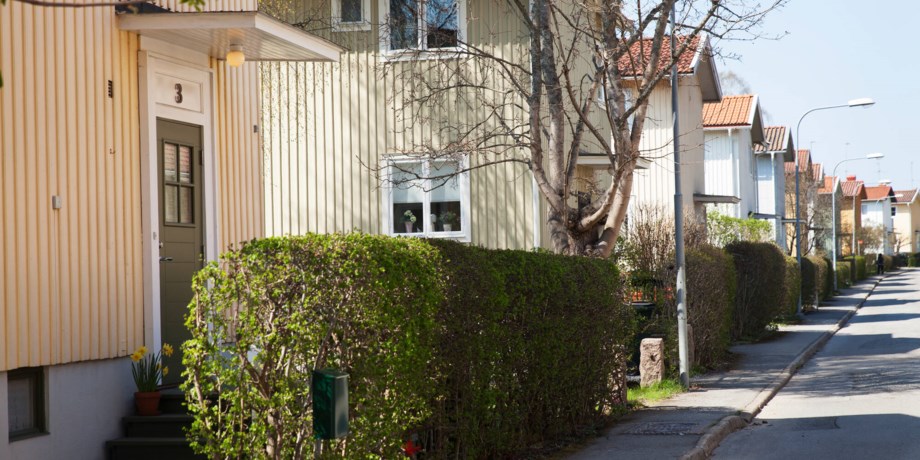 Gata med flera villor. Bild.