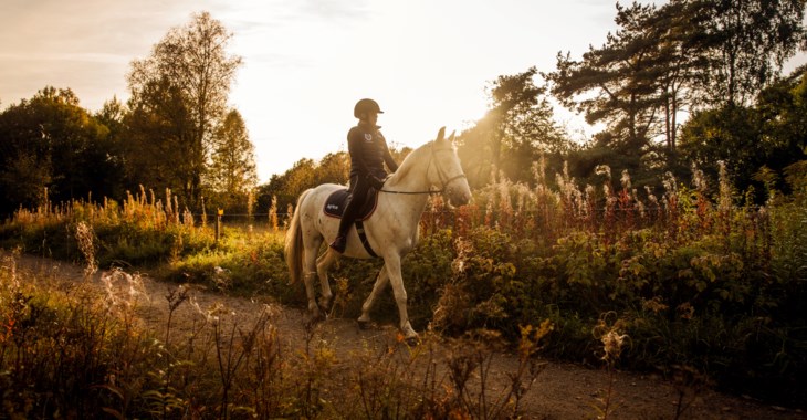 Kvällsritt med Borås Fältrittklubb.