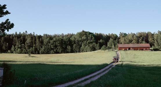 Lantbrukare med kor.