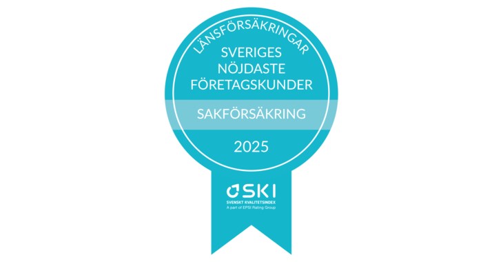 SKI-undersökning 2025. 