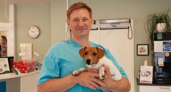 Martin på Hammarö smådjursklinik
