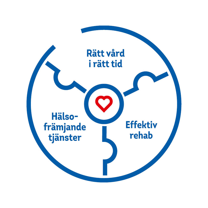 Ikon sjukvårdsförsäkring 