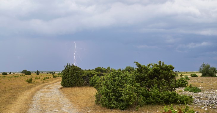 Foto av ett blixtnedslag dagtid på sommaren. sommar