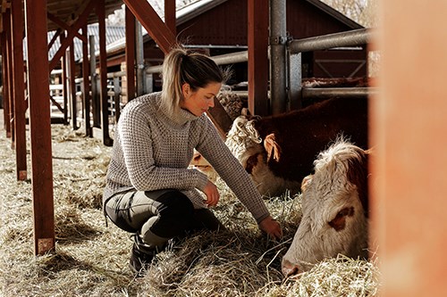 Hållbart företagande och lantbruk
