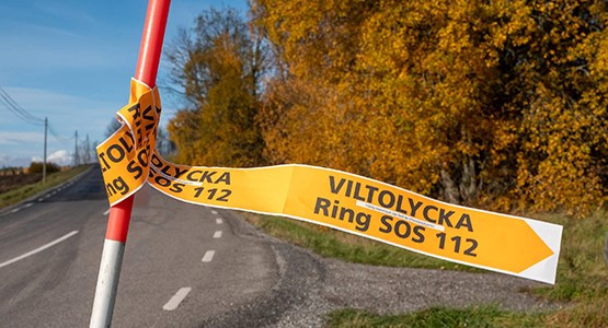 Plogpinne vid vägkant.