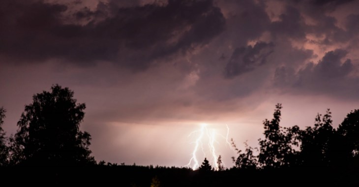 Blixtnedslag i skog.