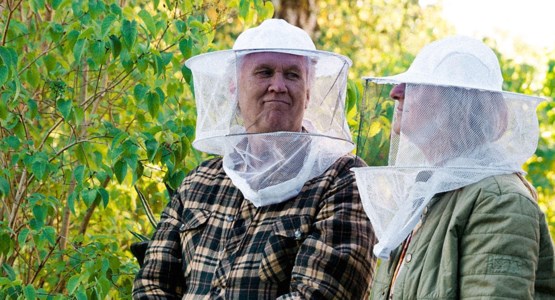 Äldre par med skyddskläder för biodling.