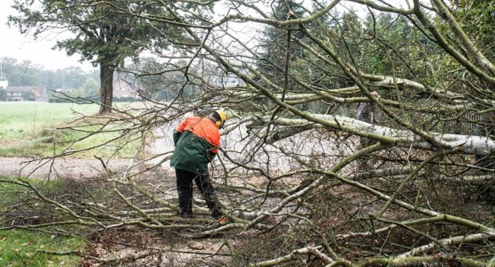 man kapar träd på väg. bild.