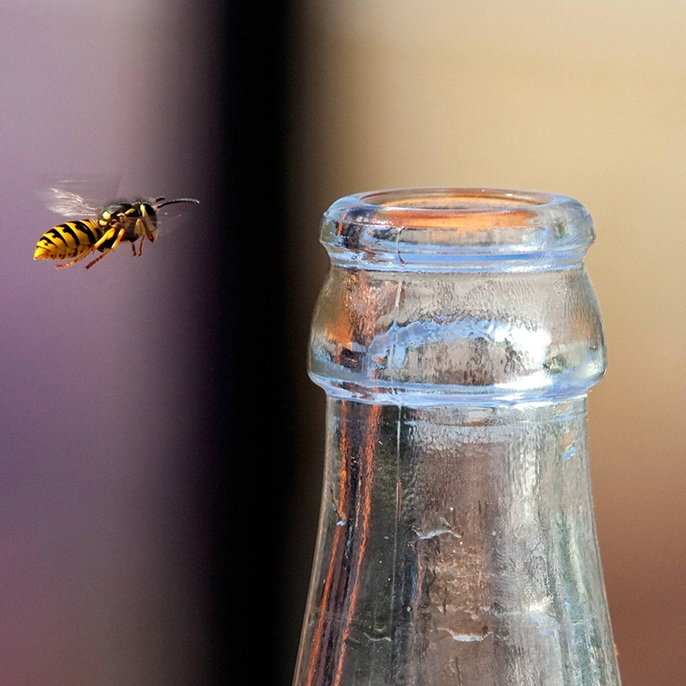 En geting som flyger mot en flaska.